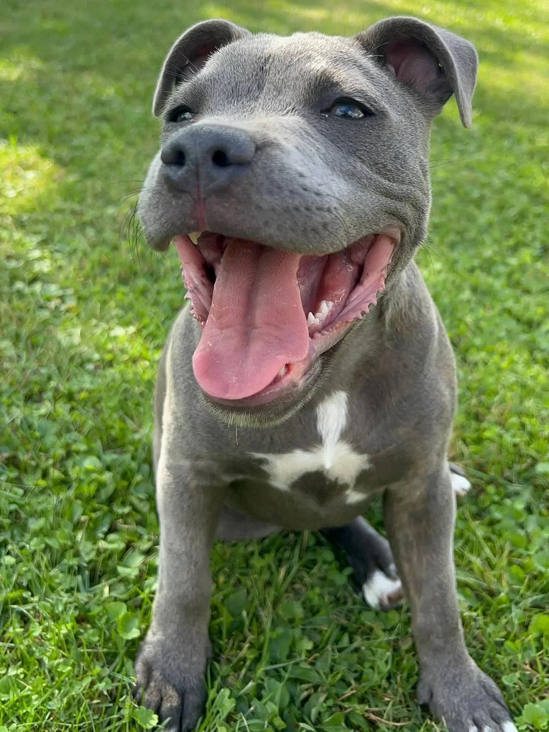Pip